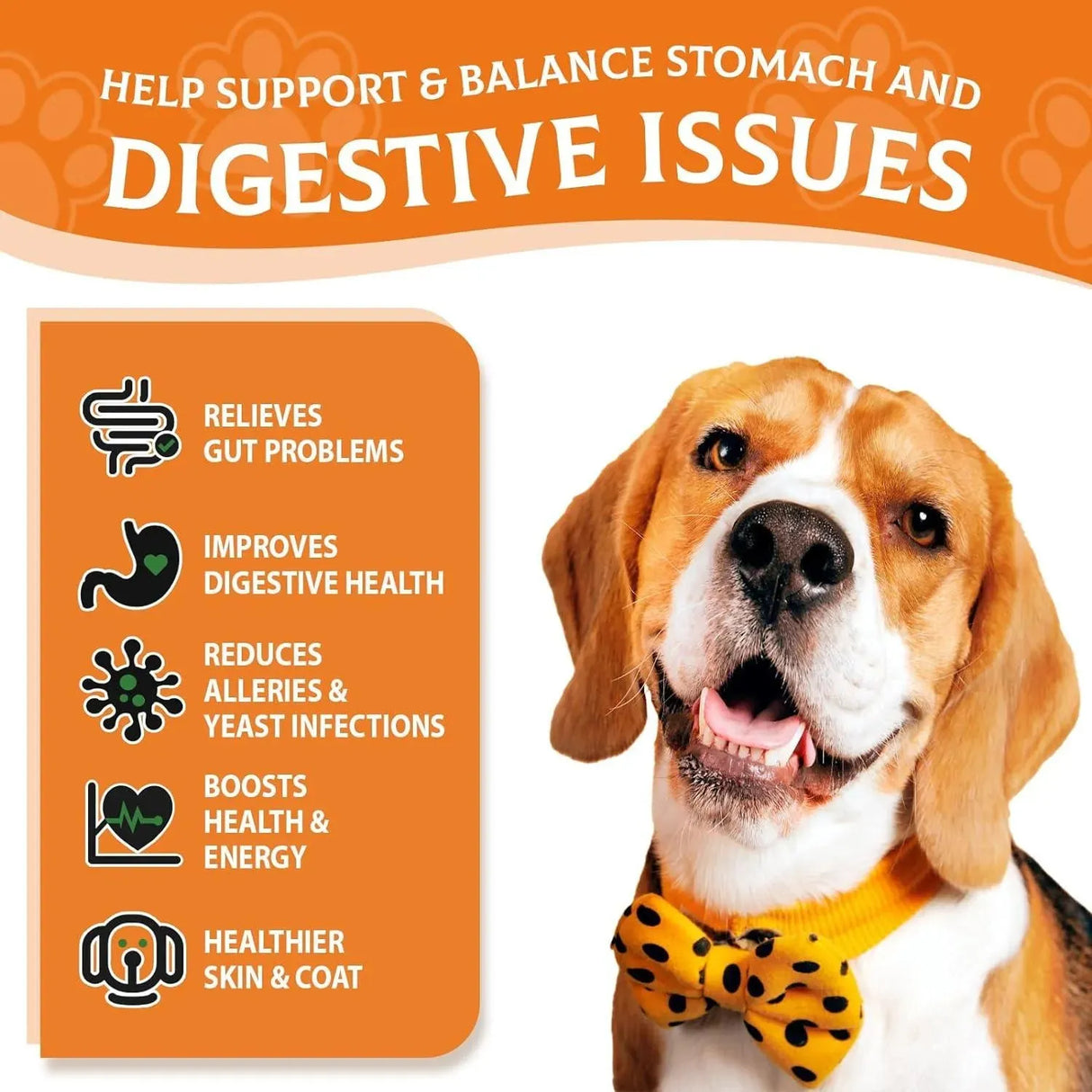 MOINGO - Moingo Probiotics Powder for Dogs 120 Servicios 120Gr. - The Red Vitamin MX - Probióticos Para Perros - {{ shop.shopifyCountryName }}