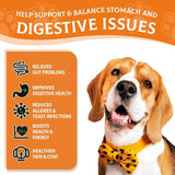 MOINGO - Moingo Probiotics Powder for Dogs 120 Servicios 120Gr. - The Red Vitamin MX - Probióticos Para Perros - {{ shop.shopifyCountryName }}