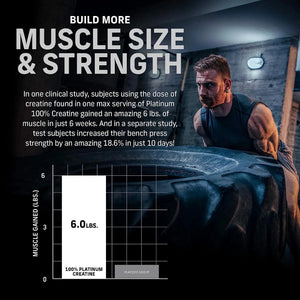 MUSCLETECH - MuscleTech Platinum Creatine Monohydrate Powder 80 Servicios 400Gr. - The Red Vitamin MX - Suplementos Alimenticios - {{ shop.shopifyCountryName }}