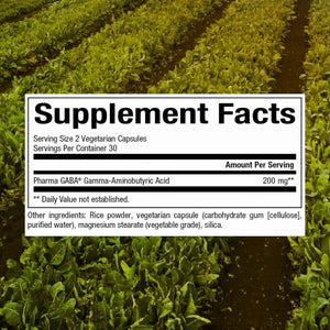 NATURAL FACTORS - Natural Factors Stress-Relax Pharma GABA 100Mg. 60 Capsulas - The Red Vitamin MX - Suplementos Alimenticios - {{ shop.shopifyCountryName }}