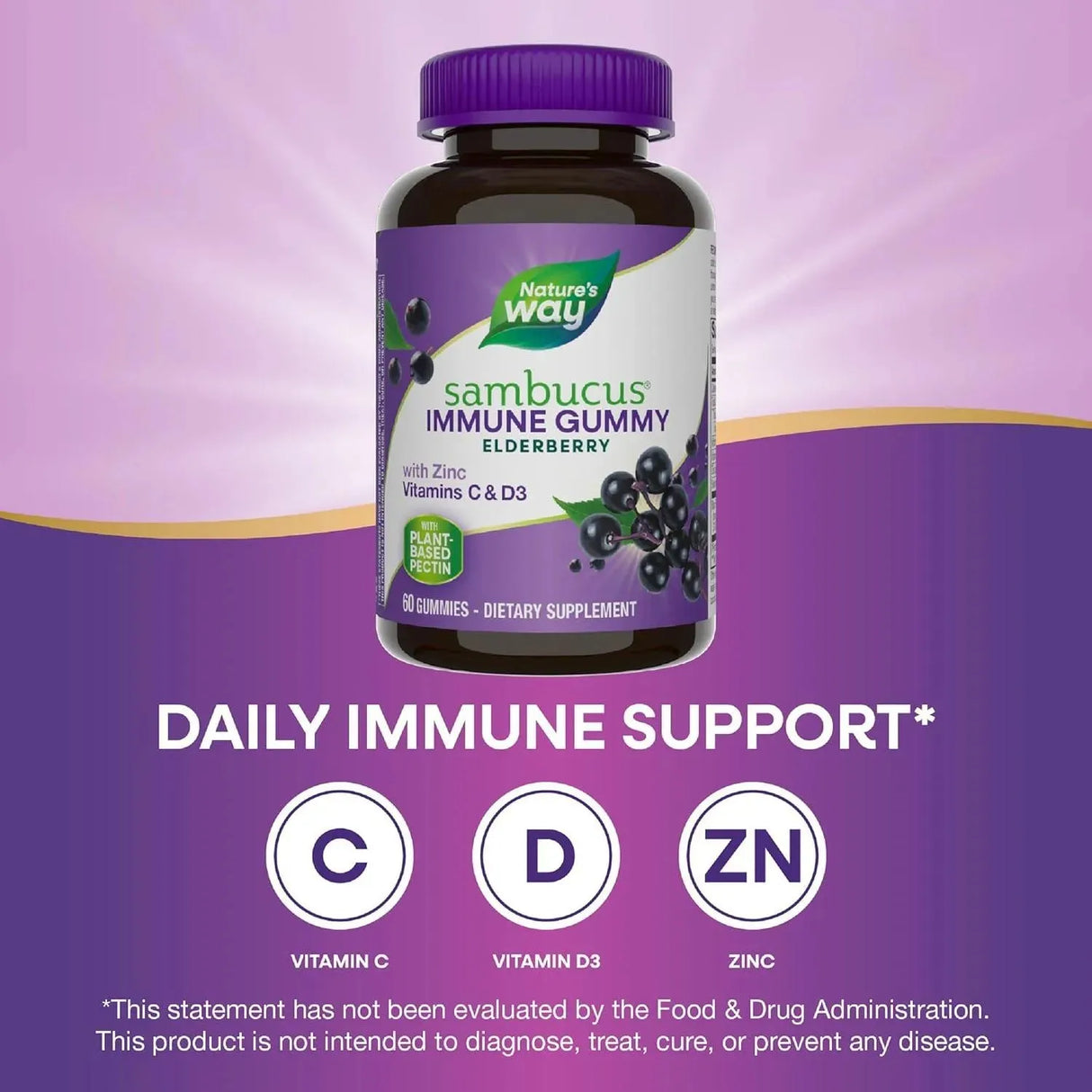 NATURE'S WAY - Nature's Way Sambucus Elderberry 60 Gomitas - The Red Vitamin MX - Suplementos Alimenticios - {{ shop.shopifyCountryName }}
