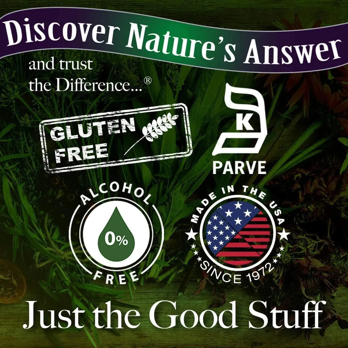 NATURE´S ANSWER - Nature's Answer Gotu Kola Herb 1 Fl.Oz. - The Red Vitamin MX - Suplementos Alimenticios - {{ shop.shopifyCountryName }}