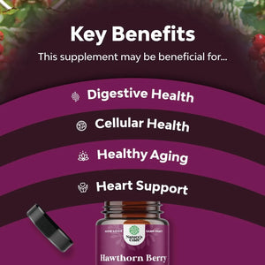 NATURES CRAFT - Natures Craft Extra Strength Hawthorn Berry Capsules 1330Mg. 240 Capsulas - The Red Vitamin MX - Suplementos Alimenticios - {{ shop.shopifyCountryName }}