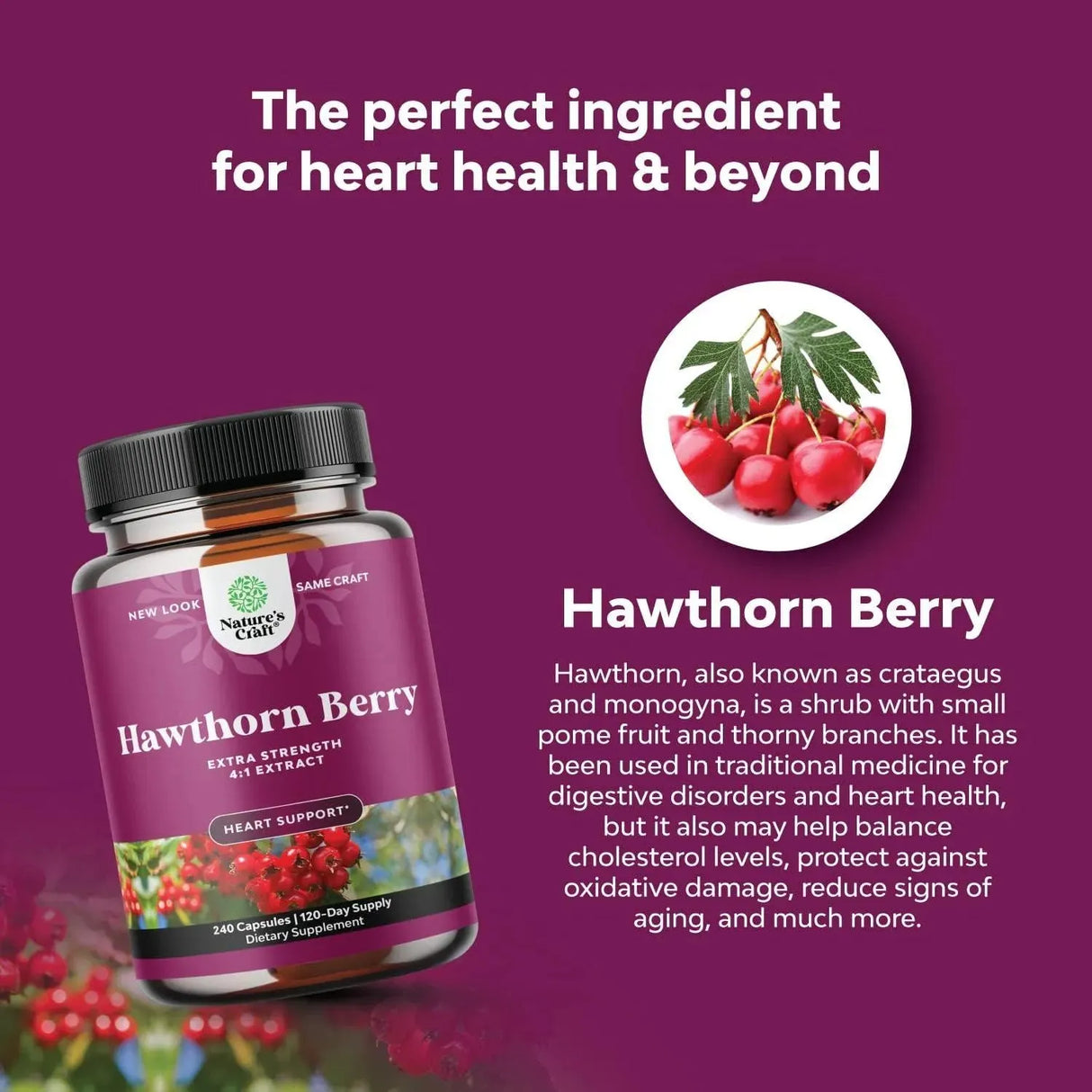 NATURES CRAFT - Natures Craft Extra Strength Hawthorn Berry Capsules 1330Mg. 240 Capsulas - The Red Vitamin MX - Suplementos Alimenticios - {{ shop.shopifyCountryName }}