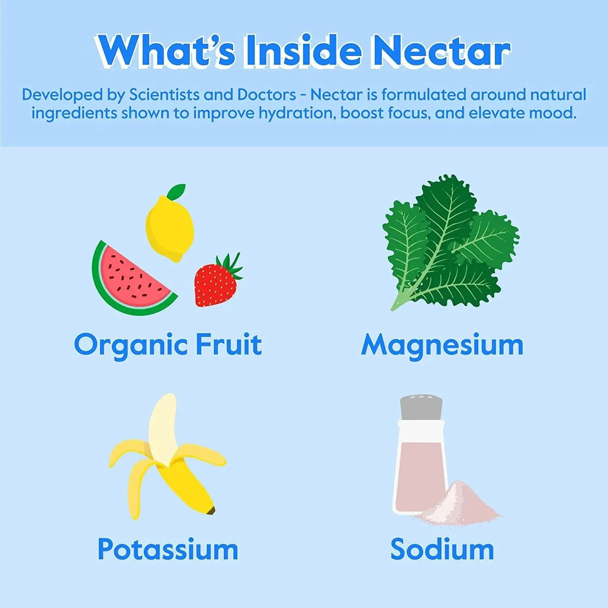 NECTAR - Nectar Hydration Packets Electrolytes Powder Variety Pack 18 Paquetes - The Red Vitamin MX - Suplementos Alimenticios - {{ shop.shopifyCountryName }}