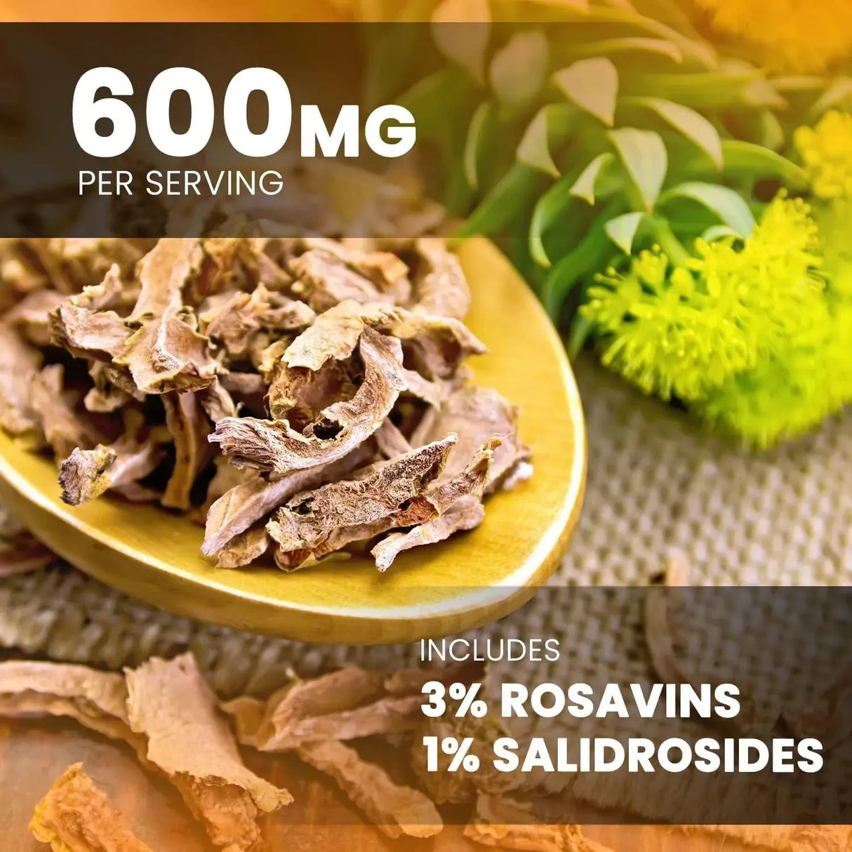 NUTRACHAMPS - NutraChamps Rhodiola Rosea 600Mg. 120 Capsulas - The Red Vitamin MX - Suplementos Alimenticios - {{ shop.shopifyCountryName }}