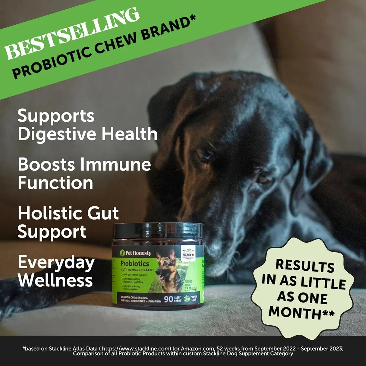 PET HONESTY - Pet Honesty Probiotics for Dogs Pumpkin 90 Masticables - The Red Vitamin MX - Probióticos Para Perros - {{ shop.shopifyCountryName }}