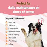 PET NATURALS - Pet Naturals Daily Probiotic for Dogs 160 Masticables - The Red Vitamin MX - Probióticos Para Perros - {{ shop.shopifyCountryName }}