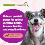 PET NATURALS - Pet Naturals Daily Probiotic for Dogs 160 Masticables - The Red Vitamin MX - Probióticos Para Perros - {{ shop.shopifyCountryName }}