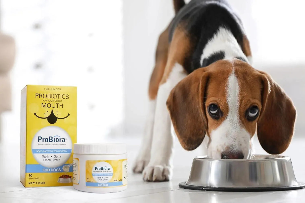 PROBIORA HEALTH - ProBiora Health Dog Probiotic Supplement 30 Servicios 30Gr. - The Red Vitamin MX - Probióticos Para Perros - {{ shop.shopifyCountryName }}