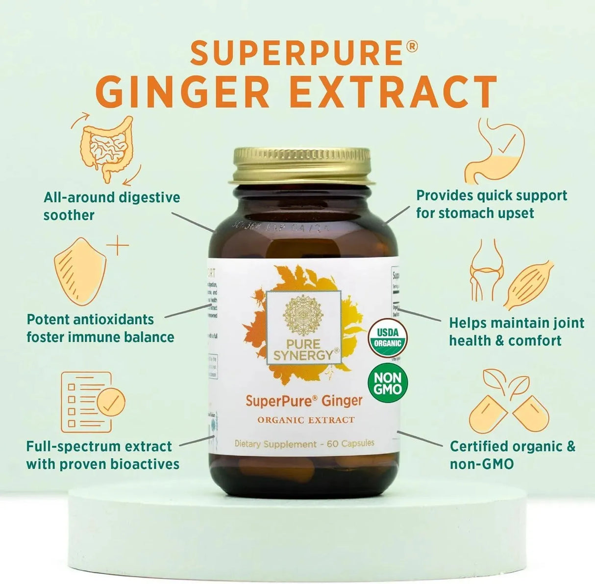 PURE SYNERGY - PURE SYNERGY SuperPure Ginger Extract 60 Capsulas - The Red Vitamin MX - Suplementos Alimenticios - {{ shop.shopifyCountryName }}
