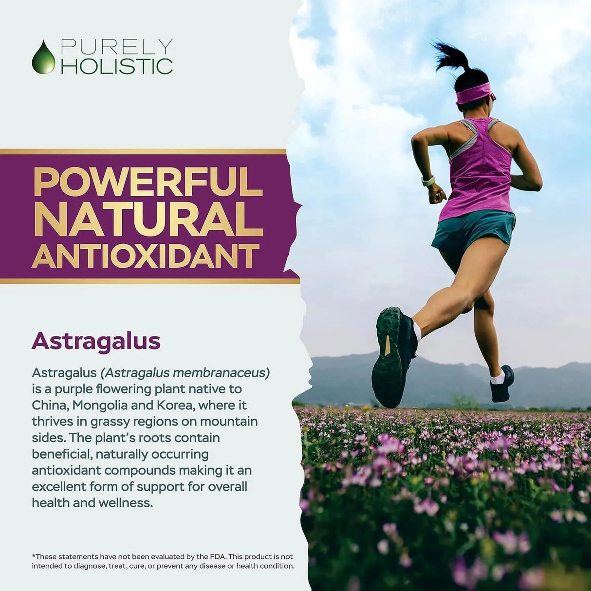 PURELY HOLISTIC - Purely Holistic Astragalus 5000Mg. 250 Capsulas - The Red Vitamin MX - Suplementos Alimenticios - {{ shop.shopifyCountryName }}