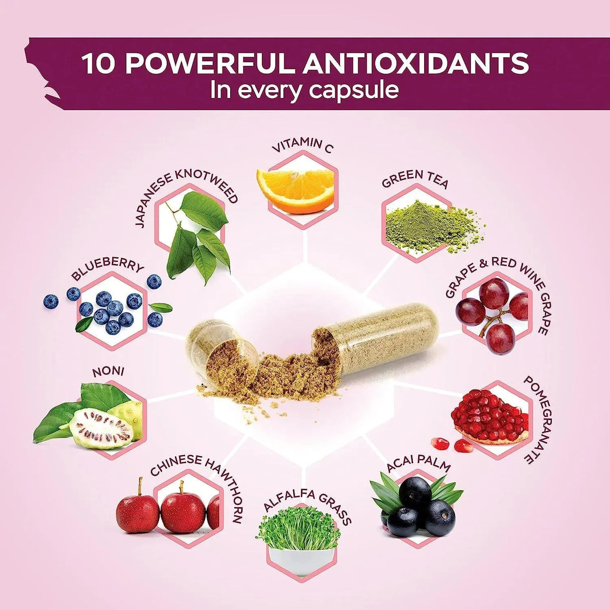 PURELY HOLISTIC - Purely Holistic Resveratrol 1450Mg. 180 Capsulas - The Red Vitamin MX - Suplementos Alimenticios - {{ shop.shopifyCountryName }}