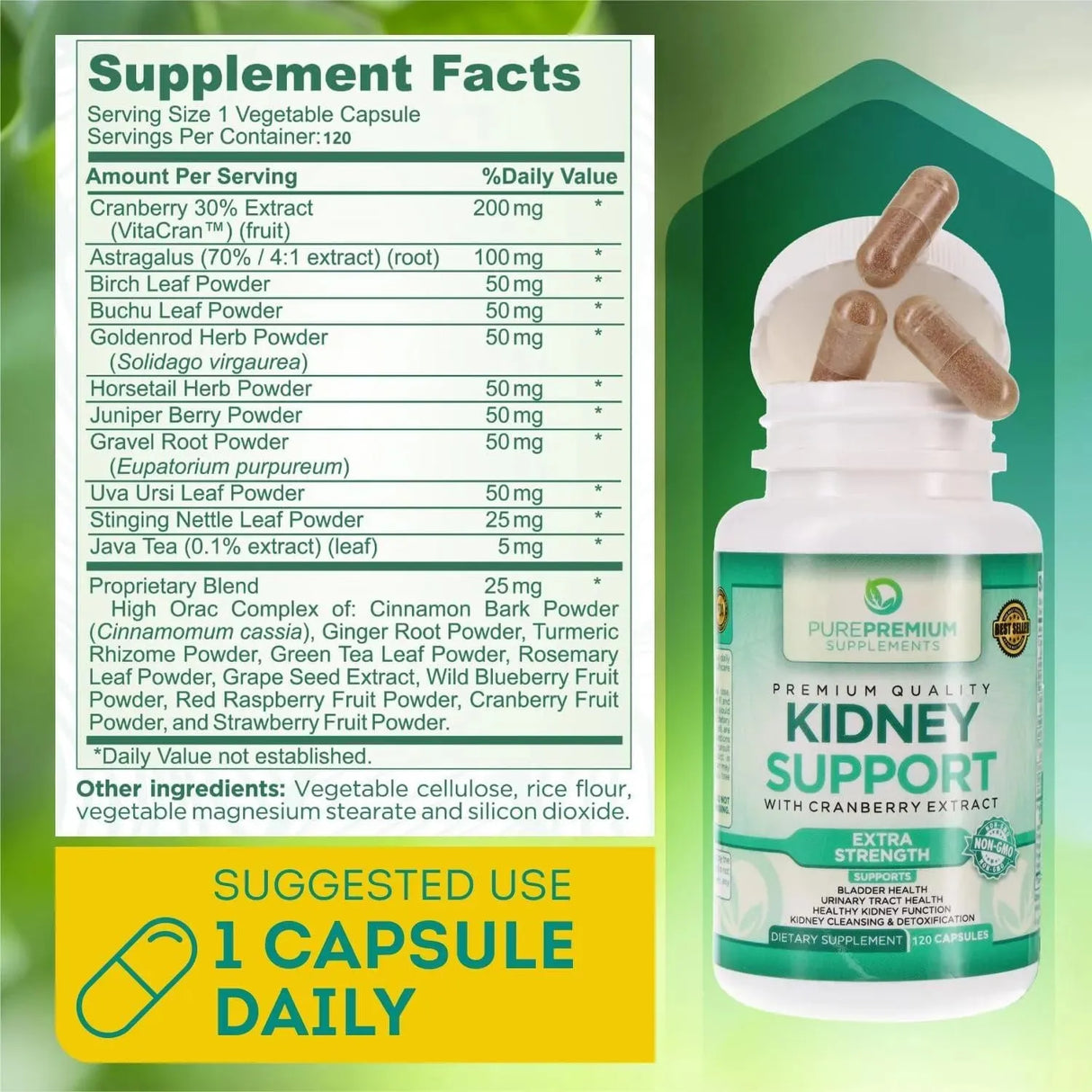 PUREPREMIUM SUPPLEMENTS - PurePremium Kidney Support 120 Capsulas - The Red Vitamin MX - Suplementos Alimenticios - {{ shop.shopifyCountryName }}