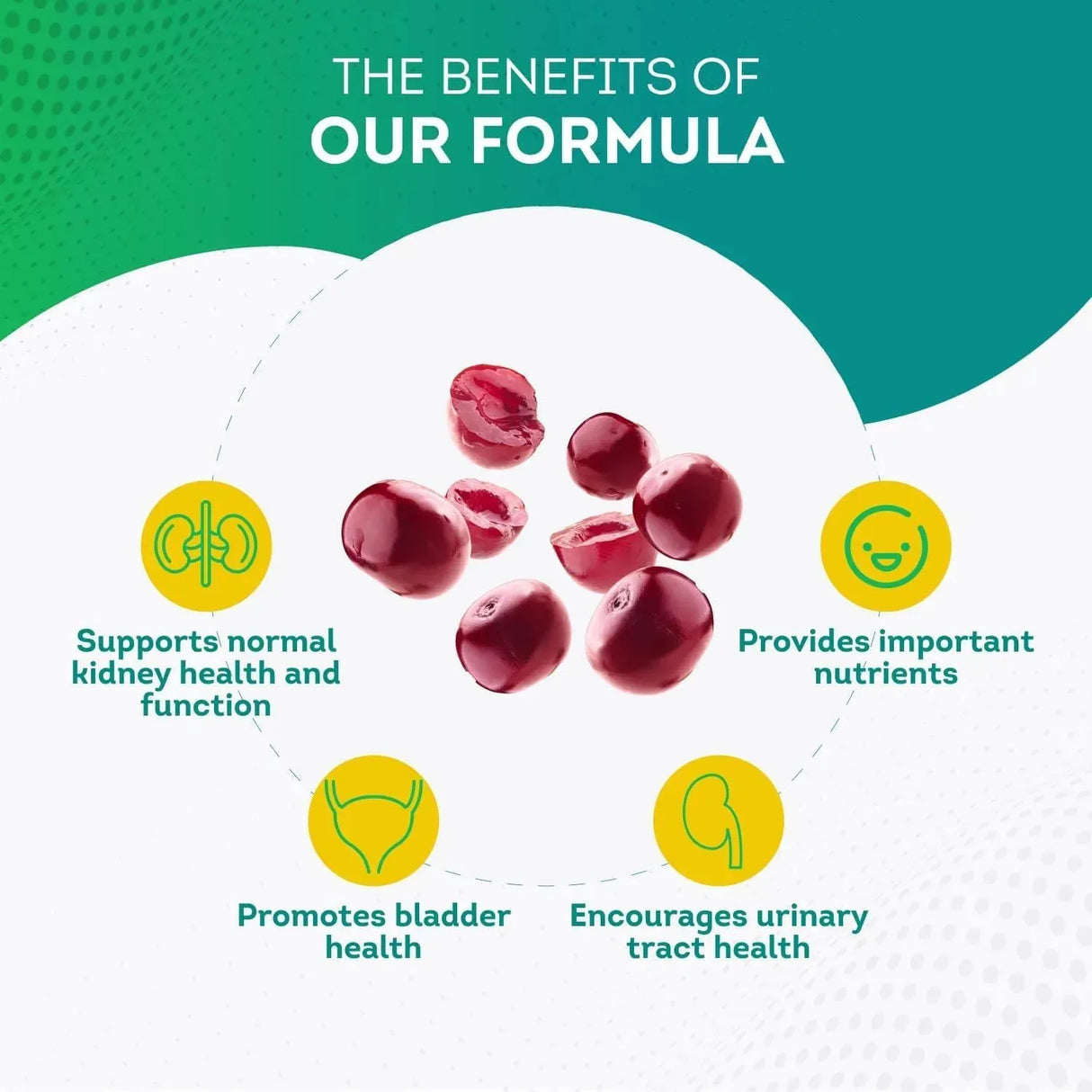 PUREPREMIUM SUPPLEMENTS - PurePremium Kidney Support 120 Capsulas - The Red Vitamin MX - Suplementos Alimenticios - {{ shop.shopifyCountryName }}