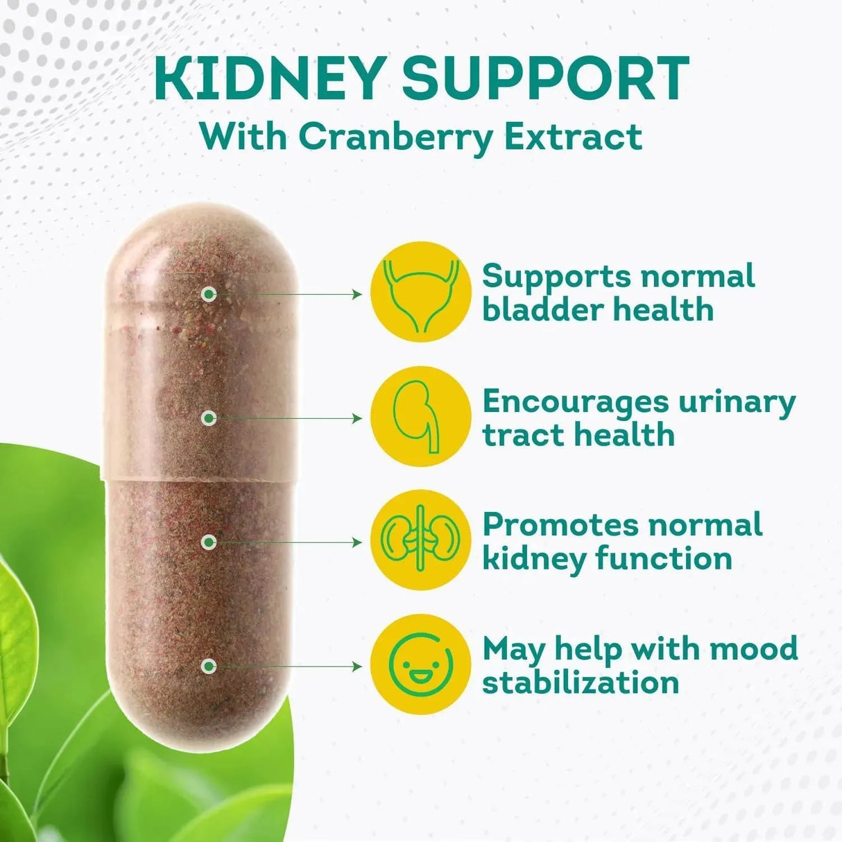 PUREPREMIUM SUPPLEMENTS - PurePremium Kidney Support 120 Capsulas - The Red Vitamin MX - Suplementos Alimenticios - {{ shop.shopifyCountryName }}