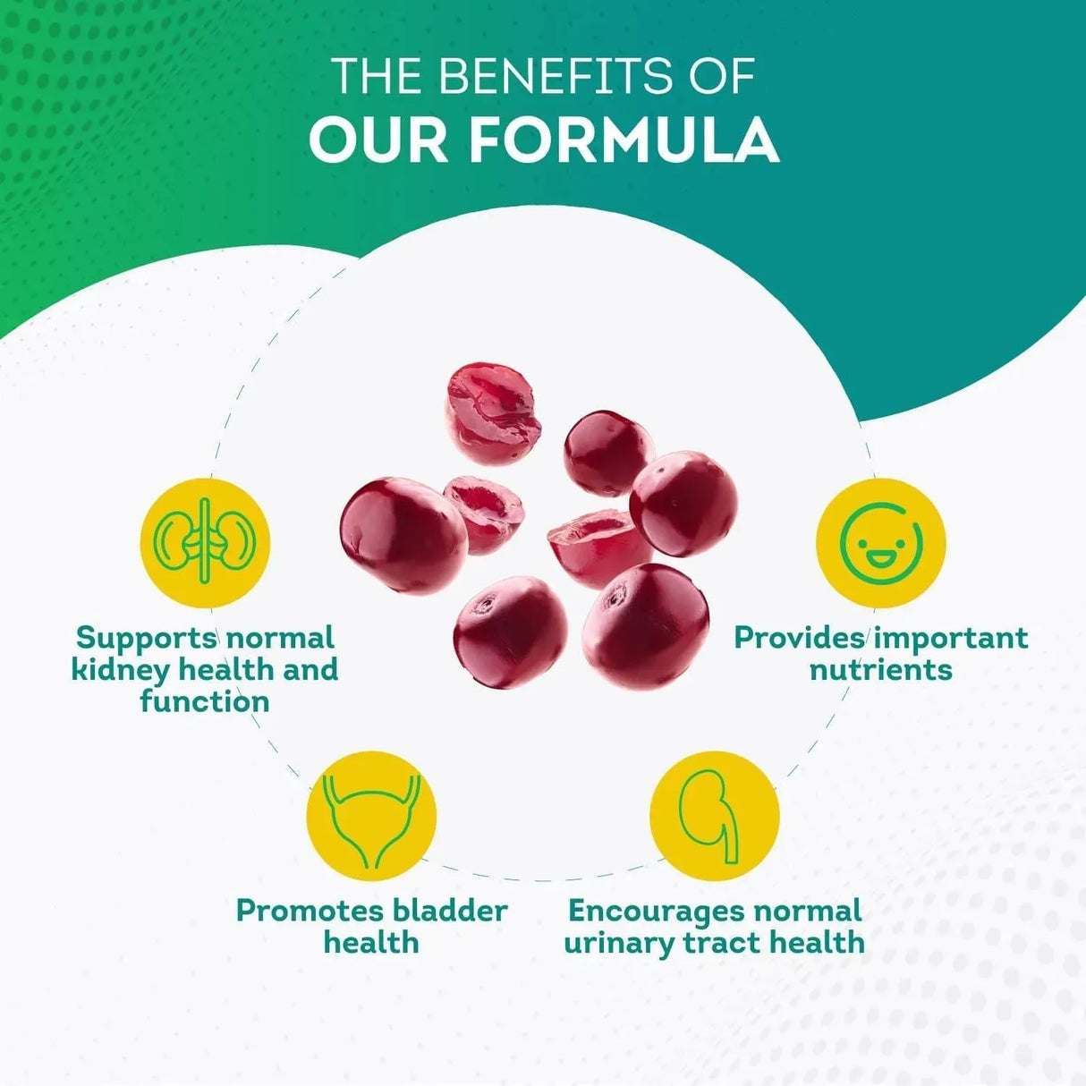 PUREPREMIUM SUPPLEMENTS - PurePremium Kidney Support 60 Capsulas - The Red Vitamin MX - Suplementos Alimenticios - {{ shop.shopifyCountryName }}