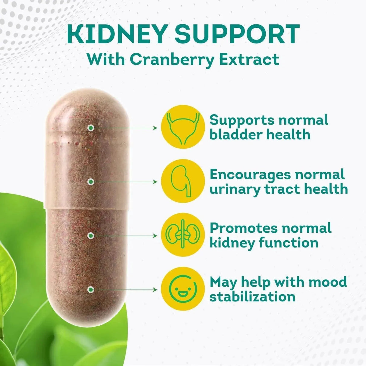 PUREPREMIUM SUPPLEMENTS - PurePremium Kidney Support 60 Capsulas - The Red Vitamin MX - Suplementos Alimenticios - {{ shop.shopifyCountryName }}