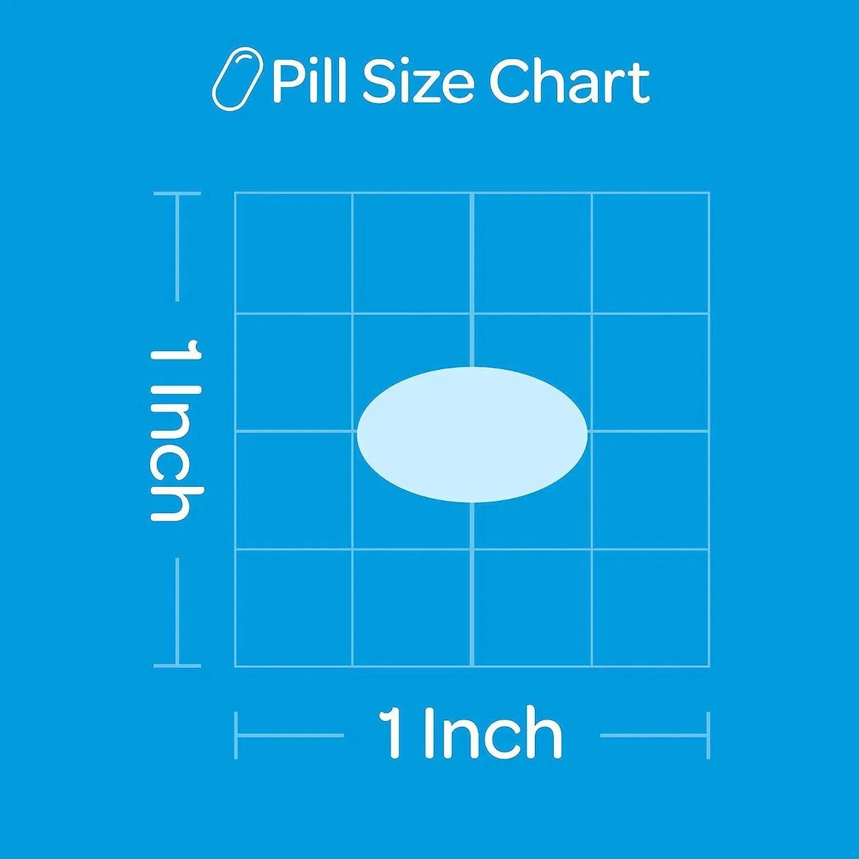 PURITAN'S PRIDE - Puritan's Pride Red Yeast Rice 600Mg. 240 Capsulas - The Red Vitamin MX - Suplementos Alimenticios - {{ shop.shopifyCountryName }}