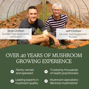 REAL MUSHROOMS - Real Mushrooms Turkey Tail 200 Capsulas - The Red Vitamin MX - Suplementos Alimenticios - {{ shop.shopifyCountryName }}