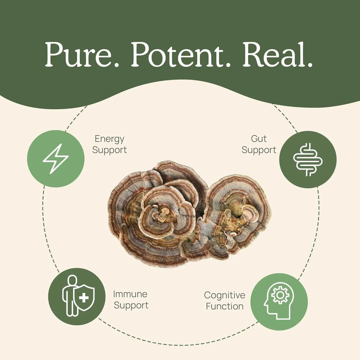 REAL MUSHROOMS - Real Mushrooms Turkey Tail 90 Capsulas - The Red Vitamin MX - Suplementos Alimenticios - {{ shop.shopifyCountryName }}
