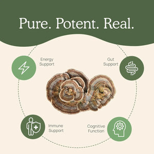 REAL MUSHROOMS - Real Mushrooms Turkey Tail 90 Capsulas - The Red Vitamin MX - Suplementos Alimenticios - {{ shop.shopifyCountryName }}