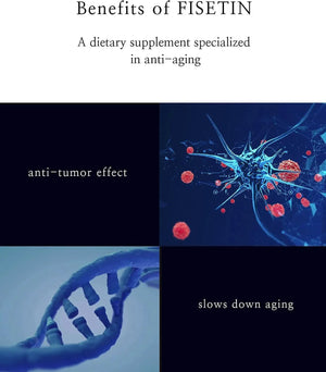 REJUVECORE - Rejuvecore Fisetin 60 Capsulas - The Red Vitamin MX - Suplementos Alimenticios - {{ shop.shopifyCountryName }}