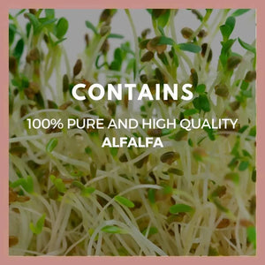REMEDY'S NUTRITION - Remedy's nutrition Alfalfa Extract Powder 1,000Mg. 60 Capsulas - The Red Vitamin MX - Suplementos Alimenticios - {{ shop.shopifyCountryName }}