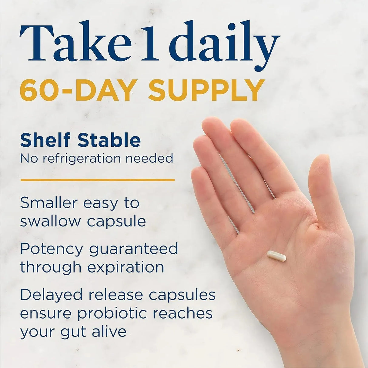 RENEWLIFE - Renew Life Extra Care Probiotic 60 Capsulas - The Red Vitamin MX - Suplementos Alimenticios - {{ shop.shopifyCountryName }}