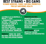 TUMMYWORKS - TummyWorks Probiotic Powder for Dogs & Cats 160 Servicios 208Gr. - The Red Vitamin MX - Probióticos Para Perros - {{ shop.shopifyCountryName }}