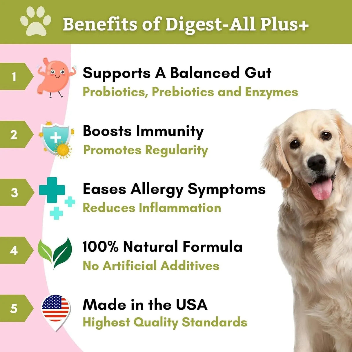 WHOLISTIC PET ORGANICS - Wholistic Pet Organics: Dog Probiotics and Digestive Enzymes Powder 57Gr. - The Red Vitamin MX - Probióticos Para Perros - {{ shop.shopifyCountryName }}