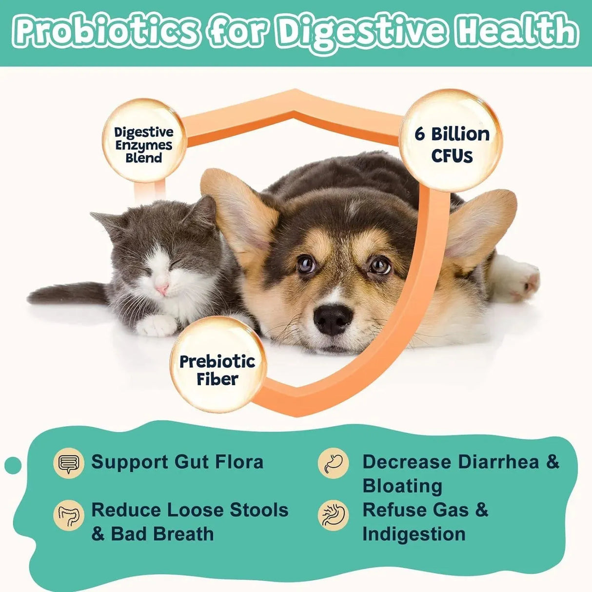 ZEBORA - Zebora Probiotics for Dogs Digestive Health 120 Masticables - The Red Vitamin MX - Probióticos Para Perros - {{ shop.shopifyCountryName }}