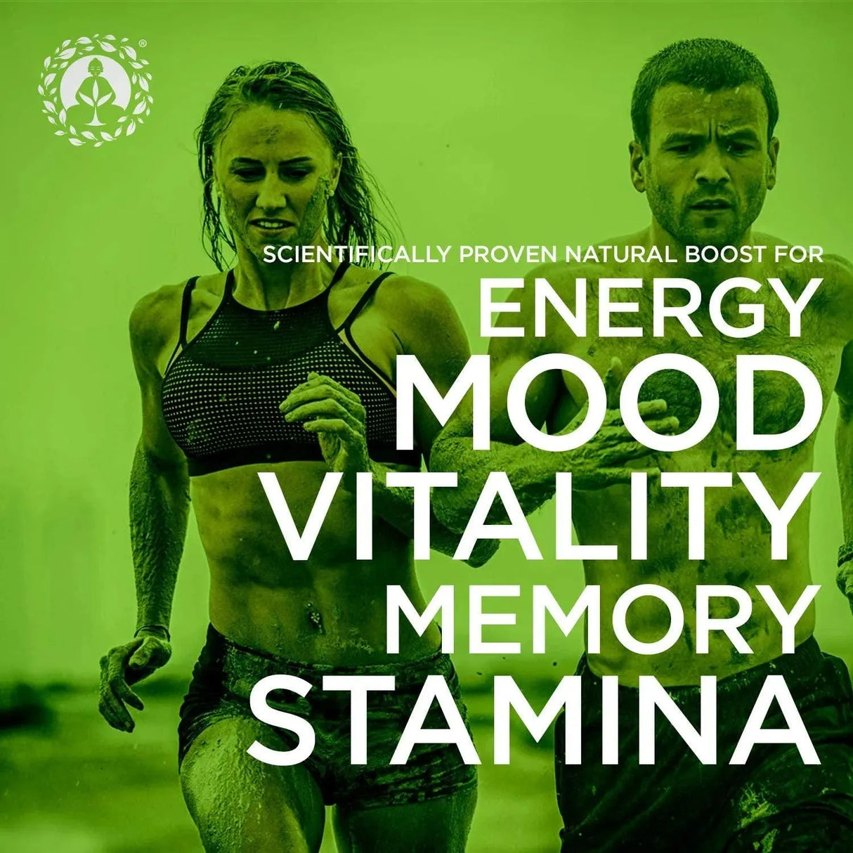 ZEN SPIRIT - Zen Spirit Maca Powder Organic 8Oz. - The Red Vitamin MX - Suplementos Alimenticios - {{ shop.shopifyCountryName }}